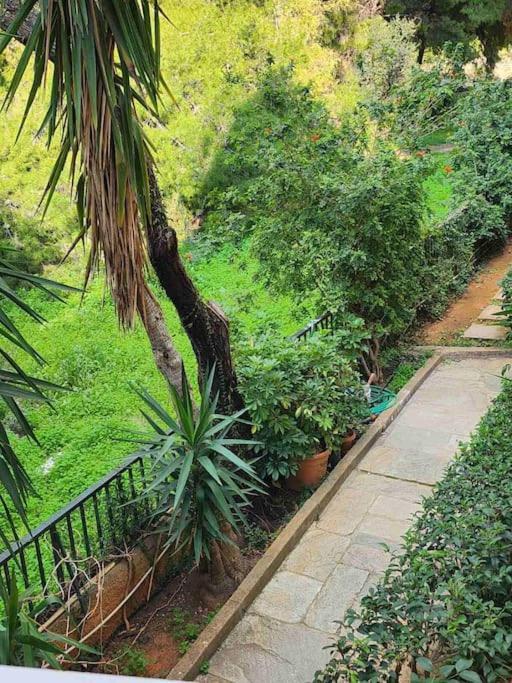 Apartmán Vouliagmeni Thalassa *